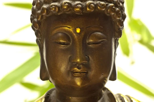 Будди — стокове фото