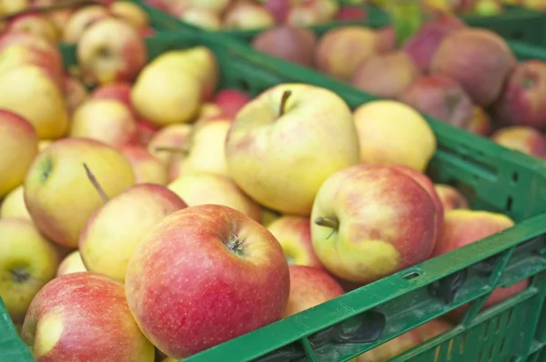 Apples Closeup — Stock Photo, Image