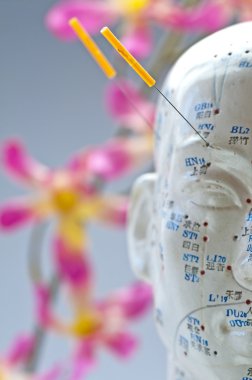 Acupuncture head model clipart