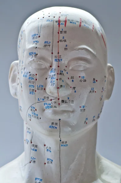 Ο βελονισμός κεφάλι μοντέλο — Φωτογραφία Αρχείου