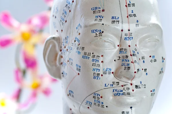 Model głowy akupunktura — Zdjęcie stockowe
