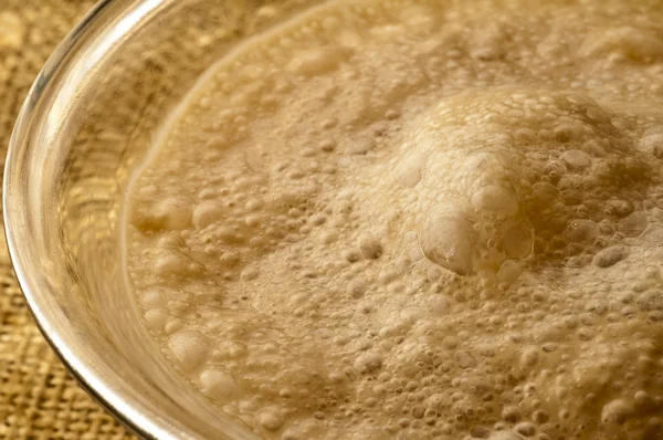 Yeast for bakery and brewing — Stock Photo, Image