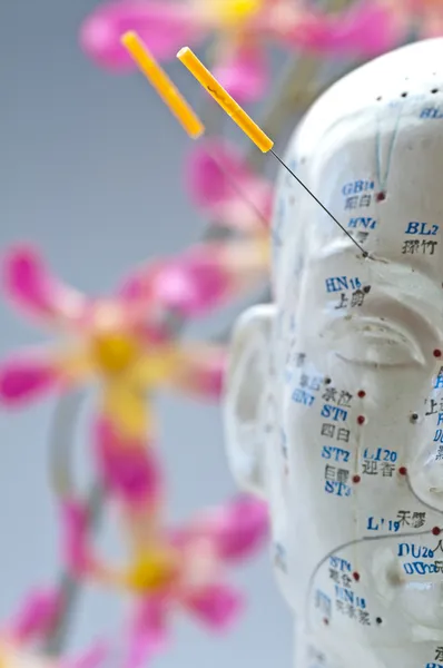 Akupunkturní model hlavy — Stock fotografie