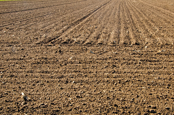 Acre with fine crumbs