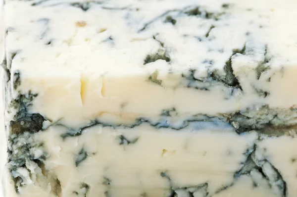 Gorgonzola cheese — Stock Photo, Image
