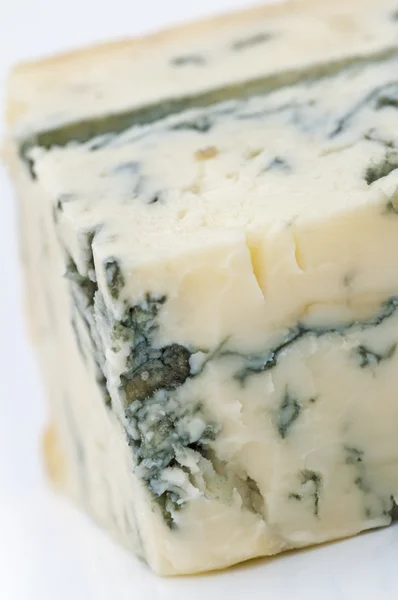 Gorgonzola cheese — Stock Photo, Image