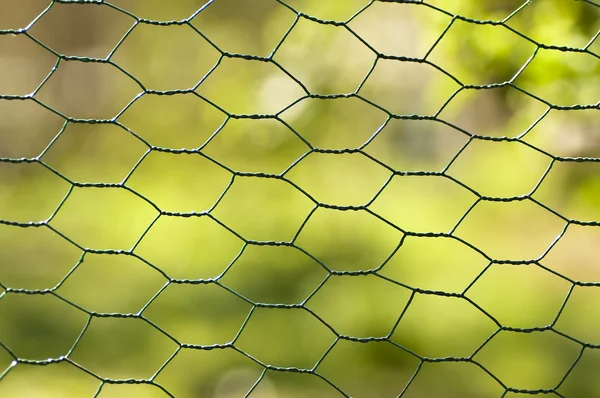 Забор с зеленым фоном — стоковое фото