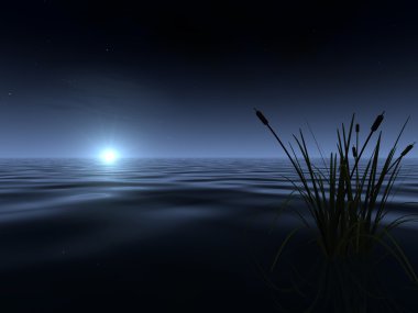 Moonrise at the Lake clipart