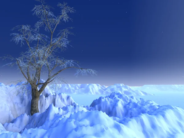 Снежная сцена — стоковое фото