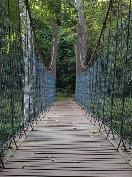 Stock image Rope bridge in the forest.