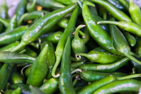 Scherpe groene peper — Stockfoto