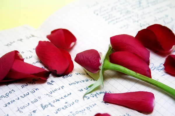Płatki róż na stary skrypt — Zdjęcie stockowe