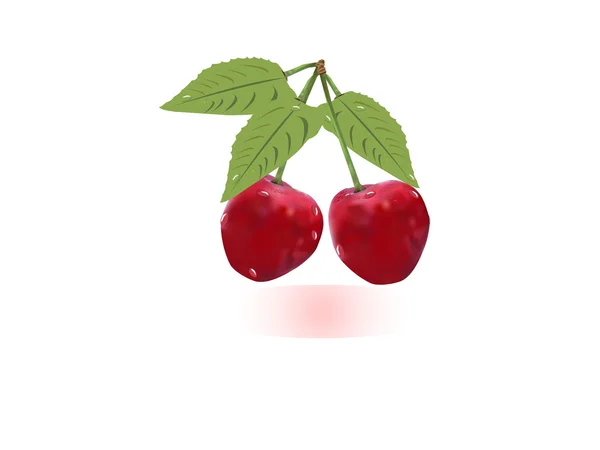 Cherry vectorillustratie — Stockvector
