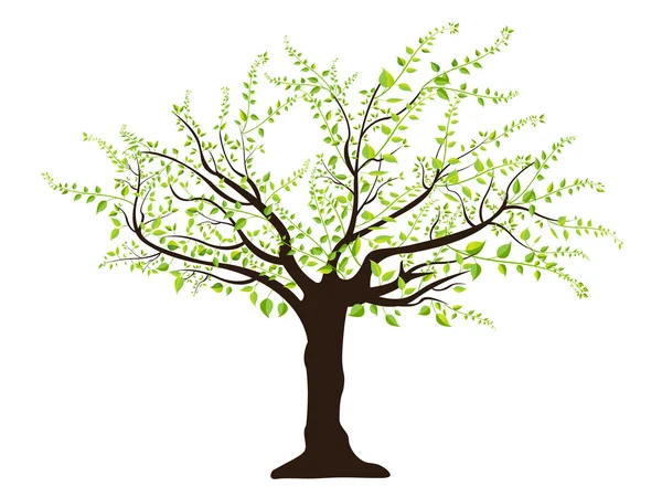 Gröna träd — Stock vektor