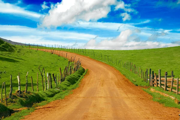 Estrada de terra no prado — Fotografia de Stock