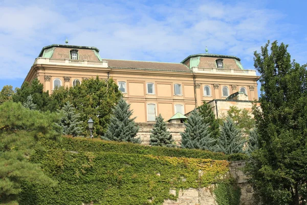 Ungarske kongelige palads - Stock-foto