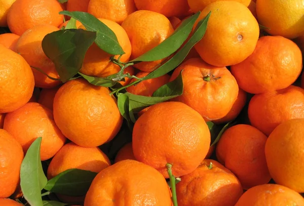 stock image Mandarin oranges