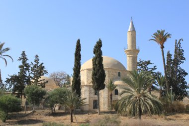 Hala Sultan Tekke clipart