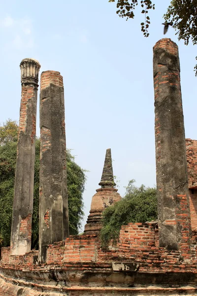 Antické ruiny v ayutthaya — Stock fotografie
