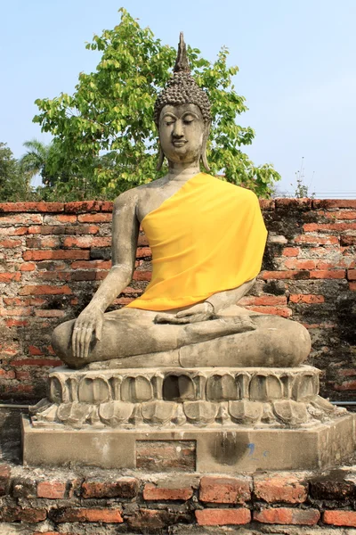 Buda resim oturma — Stok fotoğraf