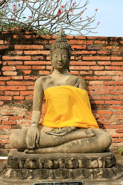 Zitplaatsen Boeddha beeld — Stockfoto