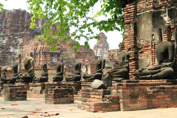 Buda görüntüleri oturma — Stok fotoğraf