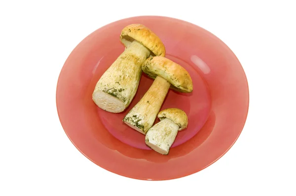 stock image Mushrooms on a plate