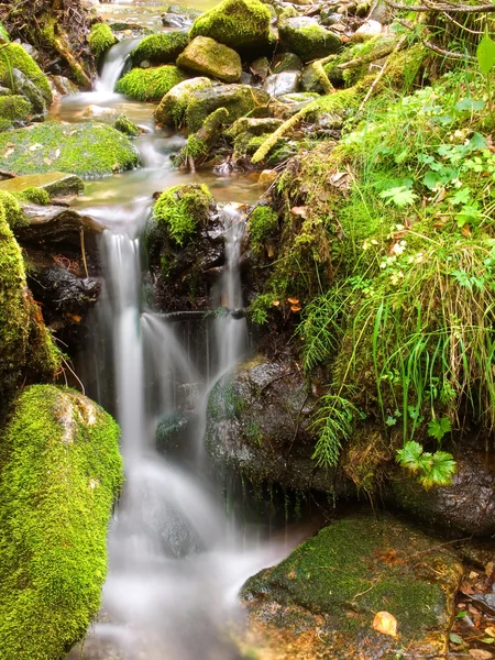 stock image Small falls