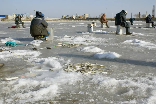 Cattura di pesce in inverno Foto Stock