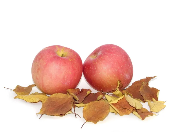 Elma ve sonbahar yaprakları — Stok fotoğraf