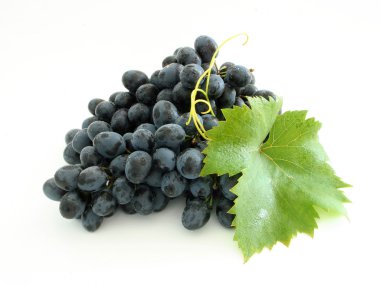 Blue grape cluster clipart