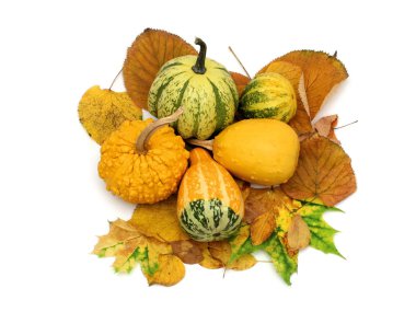 Decorative pumpkins clipart