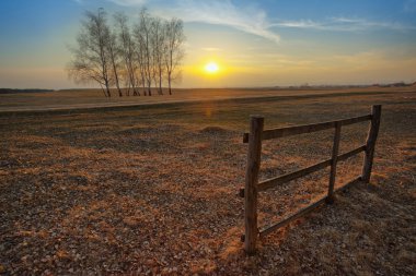 Sunset on the field clipart