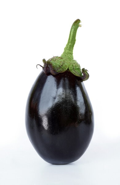 Aubergine