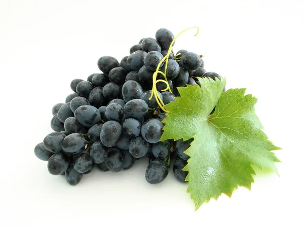 Niebieski klastra winogron — Zdjęcie stockowe