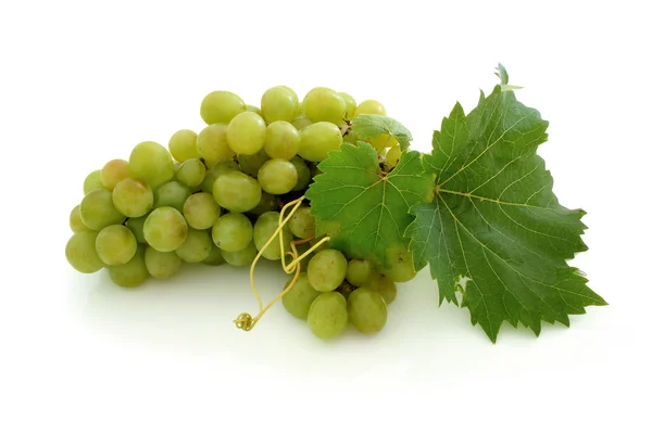 Green grape cluster — Stock Photo, Image