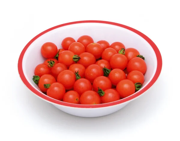 작은 토마토 — 스톡 사진