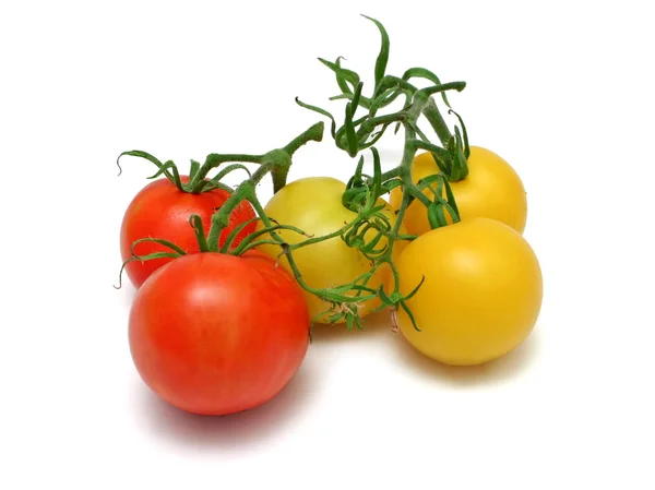 Tomatenarten — Stockfoto