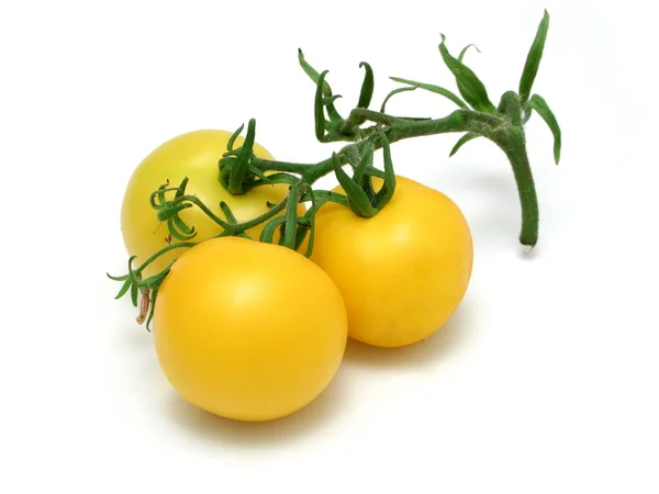 Pomodori giallo — Foto Stock