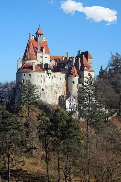 Zamek otrębów, Rumunia — Zdjęcie stockowe