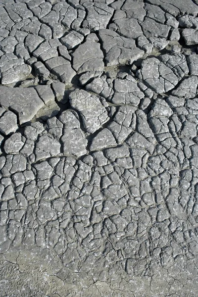 乾燥した泥 — ストック写真