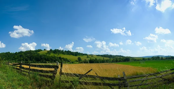 Fileld panorama in de zomer — Stockfoto