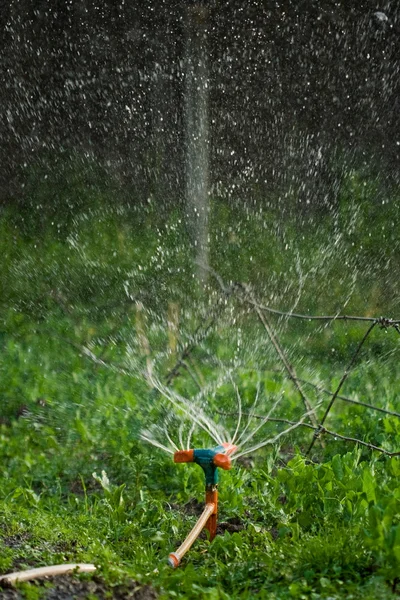 Irrigation — Stock Photo, Image