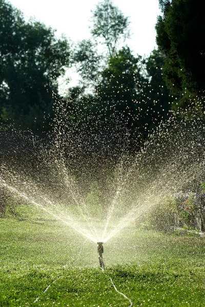 Irrigation — Stock Photo, Image
