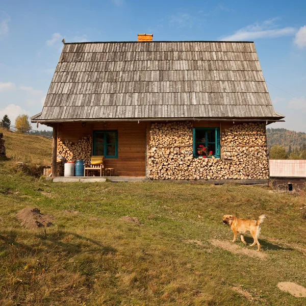 简单的农村房子 — 图库照片
