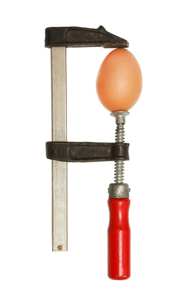Kelepçe içinde çiğ yumurta — Stok fotoğraf