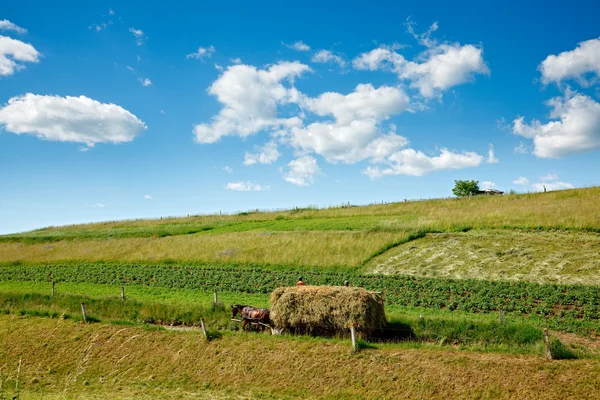 Сельский пейзаж — стоковое фото