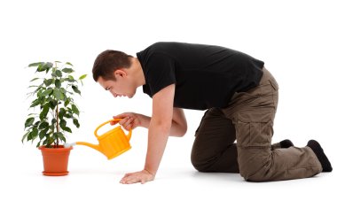 Young man watering flower clipart