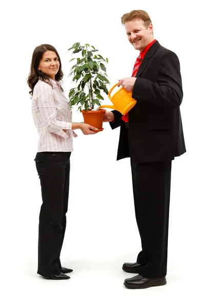 Glückliches Paar gießt Pflanze — Stockfoto