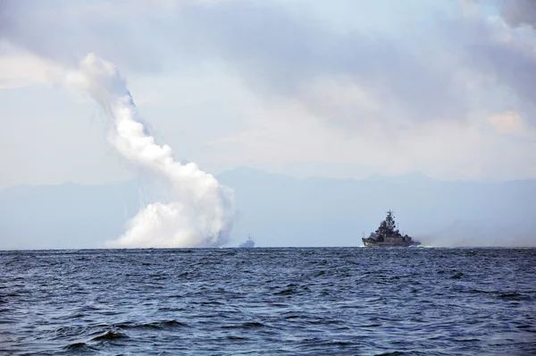 Stock image Sea fight